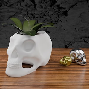 May include: A white skull-shaped planter with green leaves, alongside small gold and silver skull figurines. The planter is on a wooden surface, with a dark textured background. The overall theme is gothic home decor.