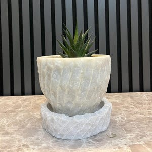 Marmeren plantenbak: woondecoratie van natuursteen, gebeitelde randen