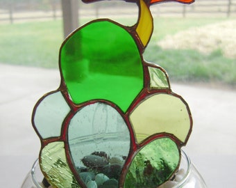 Stained Glass Cactus, Cactus Plant, Glass Plant, Stained Glass Potted Plant, flowering cactus