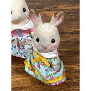 Pu&ograve; includere: Due piccole statuette di coniglietti di peluche. Una &egrave; a fuoco, indossa un vestito azzurro con motivi floreali rosa e un nastro giallo. L'altro coniglietto &egrave; parzialmente visibile, con un vestito rosa e bianco. Entrambi hanno occhi neri e orecchie con la punta marrone.