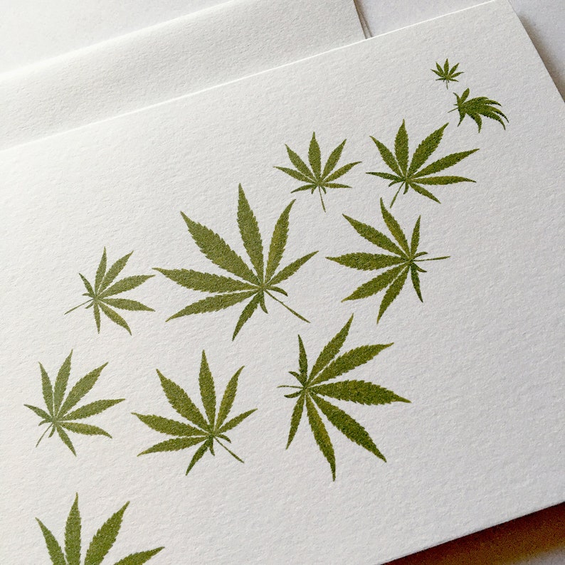 Cannabis Medical Marijuana Hemp Boxed Cards image 3