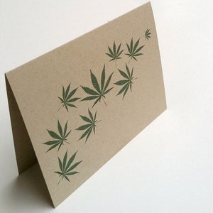 Cannabis Medical Marijuana Hemp Boxed Cards image 5