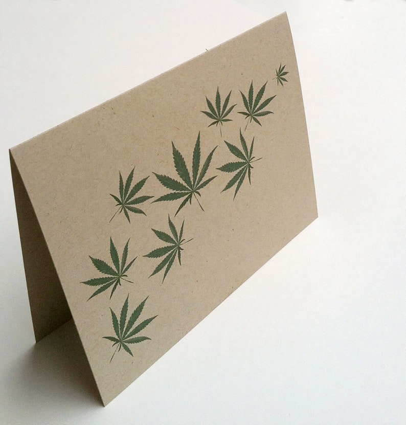 Cannabis Medical Marijuana Hemp Boxed Cards image 5