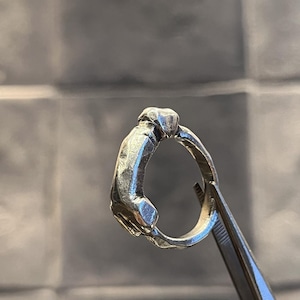 Cockringen voor vingers. Handgemaakte sterlingzilveren statementringen. Grappig NSFW-cadeau. Sieraden voor het gieten van verloren was