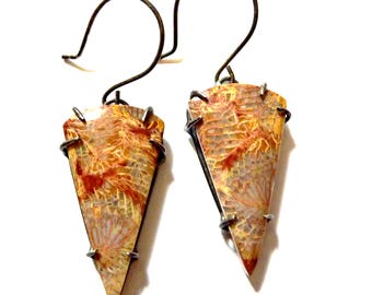 Fossil Coral Brushstroke Earrings, OOAK, Organic Nature, Oxidized Sterling Silver, Prong Settings, Indonesian Stones, Long Triangle Earrings