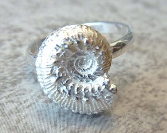 Ammonite Ring, Sterling Silver or Bronze