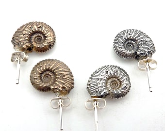 Ammonite Stud Earrings, Spiral, Tentacle, Post Earrings, Bronze or Sterling Silver, Fossil, Positive Energy