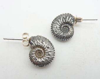 Ammonite Stud Earrings, Spiral, Tentacle, Post Earrings, Bronze or Sterling Silver, Fossil, Positive Energy