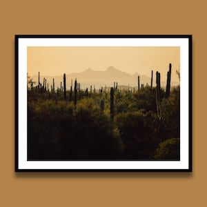 Kaktus Sonnenuntergang Druck, Baja California Landschaft Fotografie, minimalistische Wandkunst, Reiseplakat