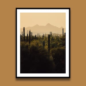 Kaktus Sonnenuntergang Druck, Baja California Landschaft Fotografie, minimalistische Wandkunst, Reiseplakat