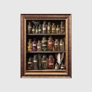 The Alchemist's Shelf | Dark Academia Wall Art, Antique Oil Painting, Witch Kitchen Decor, Goth Cottagecore Aesthetic, Witchy Decor Print