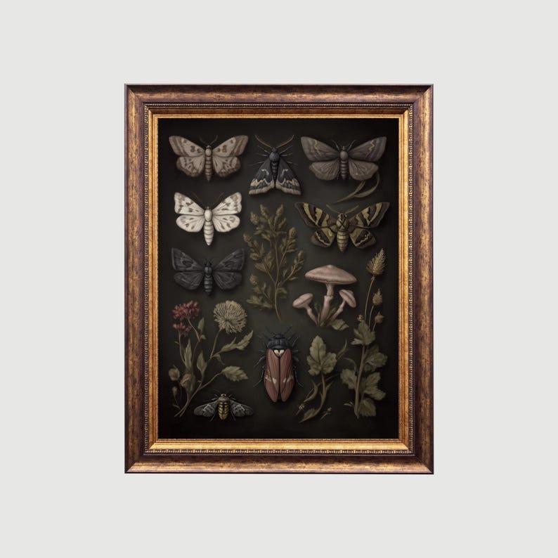 Vintage Moth and Beetle Botanical Print: Gothic Entomology Art (digital ...