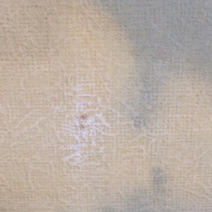 May include: Close-up of a light beige textured fabric with a small white stain in the center.