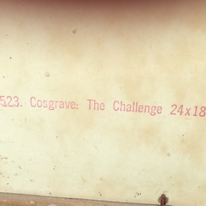 May include: A close-up of a white label with pink text that reads "VP523. Cosgrave: The Challenge 24x18".