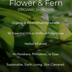 Organic All-in-One Anti-Aging Serum | Nature’s Retinol + Vitamin C | Eternal Youth bild 7