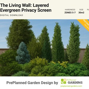 May include: A digital download garden design titled The Living Wall: Layered Evergreen Privacy Screen. The image displays a variety of evergreen trees and shrubs in shades of green and blue-green, with text indicating hardiness zones 5-7, 30m2 size, and 18 plants. A yellow banner reads Instant Download.