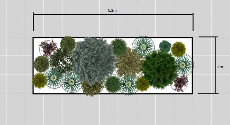 Preplanned Preplanned Garden Blueprint, Zone 4-8 Spherical Evergreen Design, Year ...