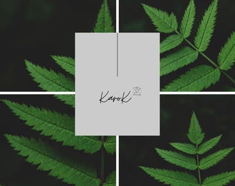 Nature’s Harmony –  Leaf Photography