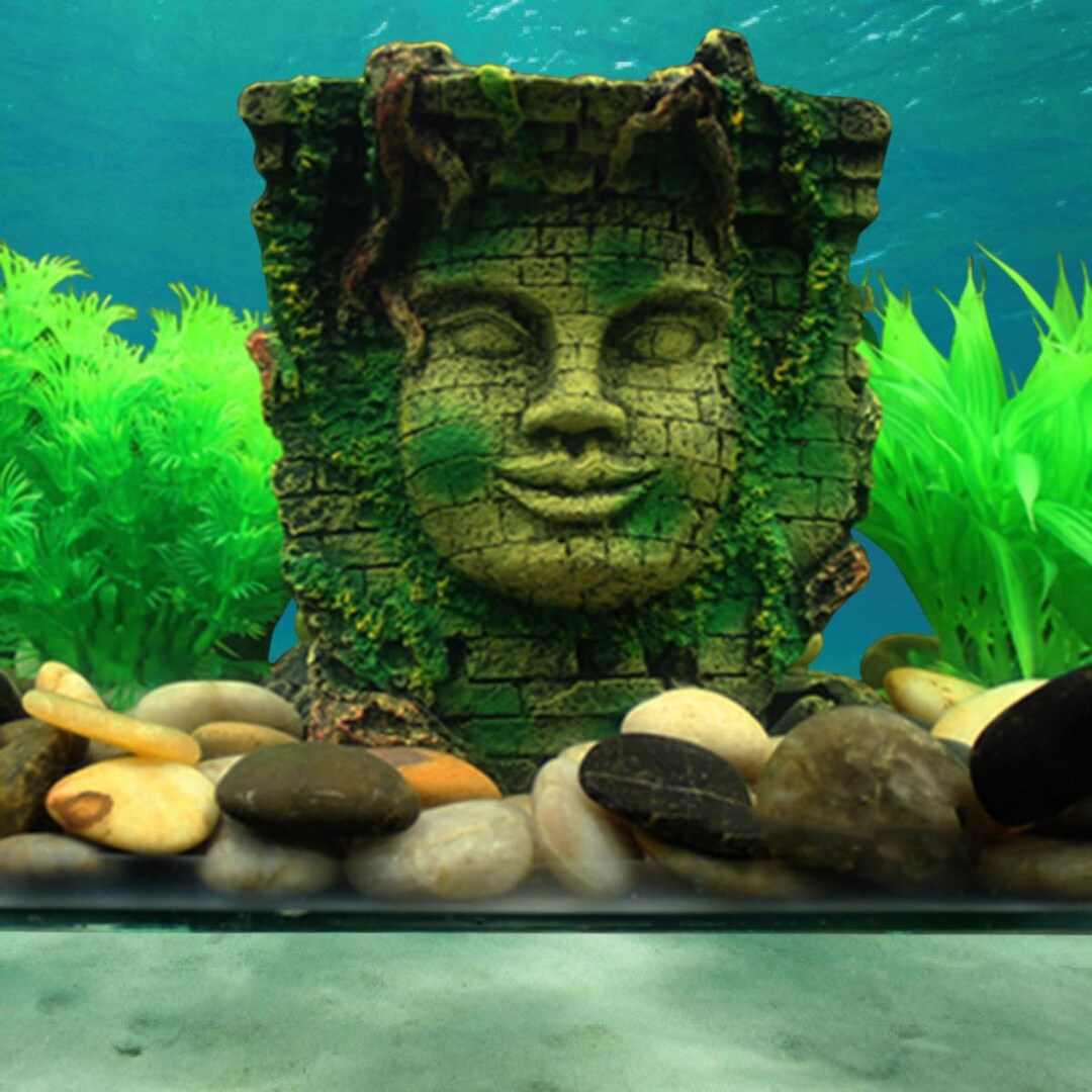 A closer look at Pillar Aquarium Decorations