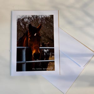 May include: A greeting card featuring two horses behind a metal fence. The primary horse is brown with a white star on its forehead. The card is in a white frame, with a white envelope to the side. The text "The Artistic Aperture 25" is at the bottom.