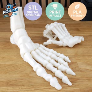 Op de afbeelding: Wit 3D-geprint model van een menselijke voet en enkel, met gedetailleerde botstructuur. Het model staat op een houten oppervlak. De afbeelding bevat tekst: "STL DIGITAL DOWNLOAD", "PRINT IN PLACE" en "PLA FRIENDLY".