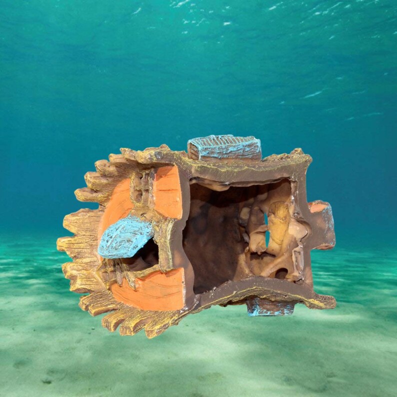 Photo inspiration: Visual Reference: Aquarium Landscape Creative Wooden House Decoration Aquarium Decor