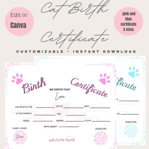 Aangepaste geboorteakte kat - geboorteakte huisdier - bewerkbare canva-sjabloon - Instant digitale download gepersonaliseerde kittensjabloon