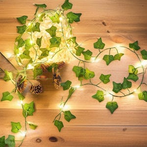 May include: A string of fairy lights with green ivy leaves and small white lights. The lights are arranged on a wooden surface with pine cones and other decorative elements.