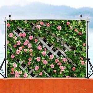 May include: A backdrop featuring a white lattice design covered in green foliage and pink roses. The backdrop is supported by a metal stand with adjustable height. The background shows a body of water and a light blue sky.