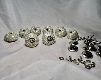 A Set of Eight Ceramic Sea Urchin-like, Gray-Brown Drawer Knobs with Hardware.