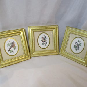 1994 Kathy Seek's Feathered Friends Chickadee,Robin & Ruby-crowned Kinglet Framed Bird Prints.
