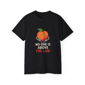 No One is Above the Law, Political Protest Shirt, Activist Apparel, Unisex T-Shirt, Equality Statement Clothing, Graphic Tee,