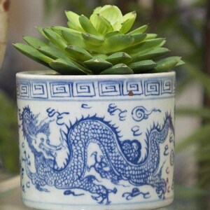 May include: A small, round, white ceramic planter with a blue dragon design. The planter holds a green succulent plant. The dragon design wraps around the planter. The top rim of the planter has a blue geometric pattern.