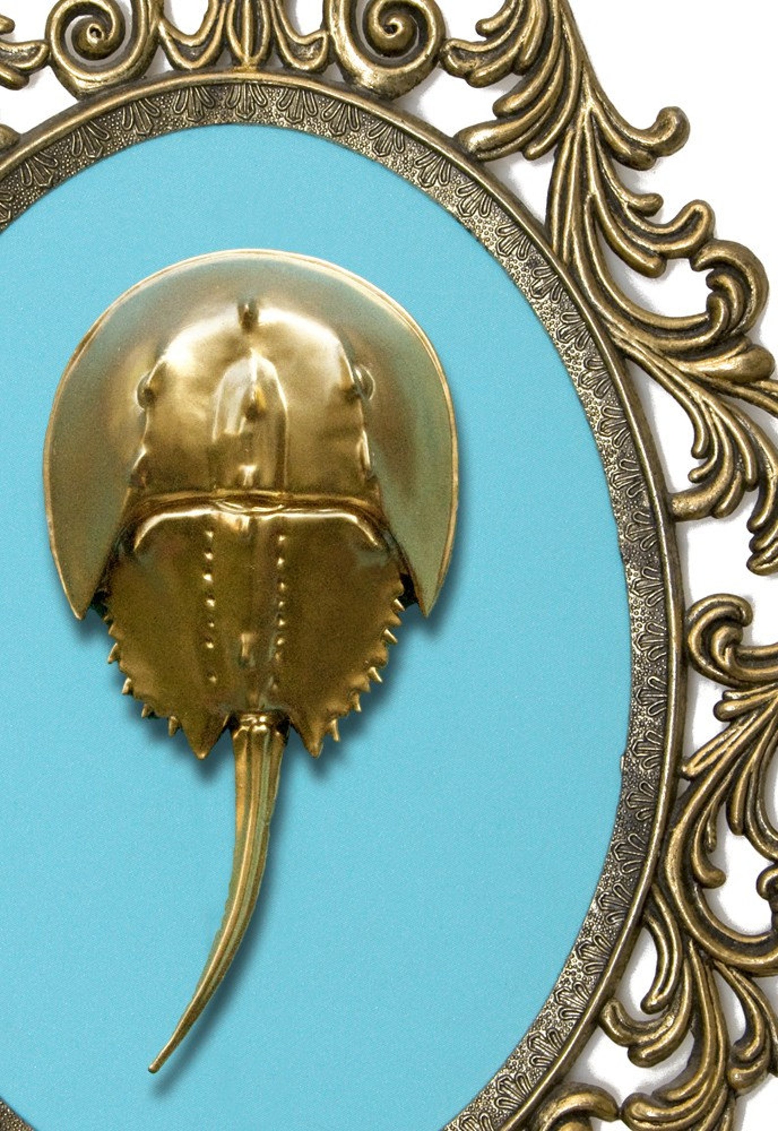 Gold Horseshoe Crab Victorian Framed Object Wall Art Decor Etsy