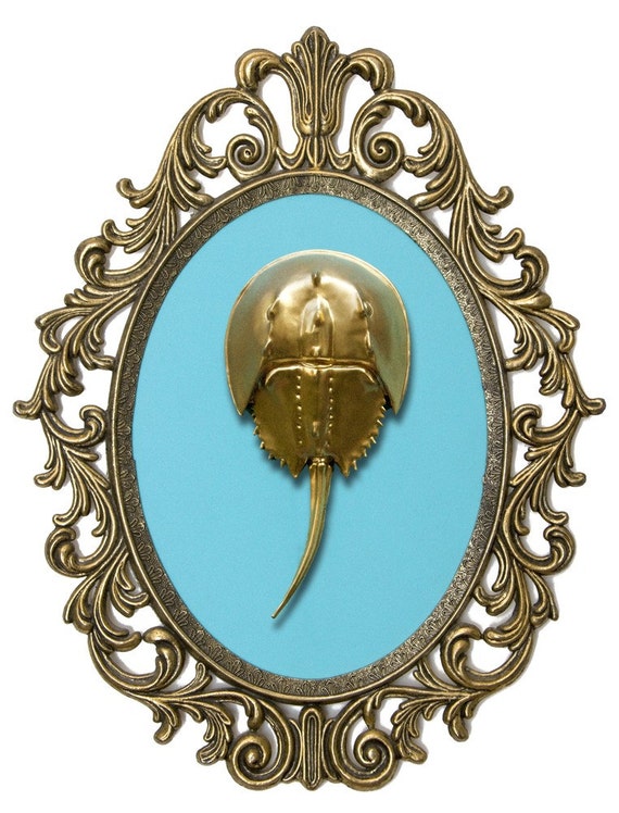 Gold Horseshoe Crab Victorian Framed Object Wall Art Decor Etsy