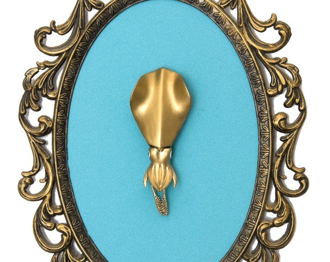 Miniature Squid Victorian Framed Object Wall Art Decor Etsy