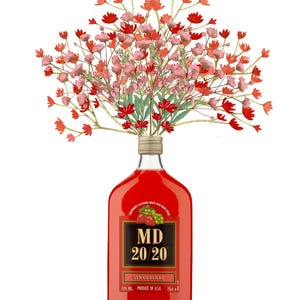 May include: A bottle of MD 20/20 Strawberry wine with a bouquet of red and pink flowers emerging from the top. The label features a strawberry and grape illustration. The bottle is filled with a red liquid.