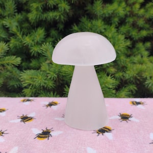 Selenite Mushroom Carving
