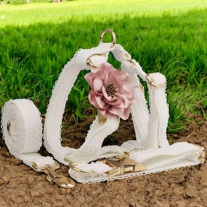 White Lace Dog Collar and Harness Personalized Custom Engraved Nameplate Pet Wedding Collar Harness For Dogs Cute Floral Dog Vest