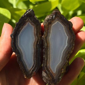 Könnte beinhalten: Zwei Hälften eines Geoden mit einem hellblauen Achat-Inneren und braunen, schwarzen und weißen Bändern. Der Geode wird in einer Hand gehalten.