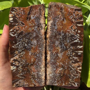 Turkish Stick, Tube and Red Banded Agate, Cut and Polished Turkish Agate Pair, Raw and Rough Mineral Specimen.