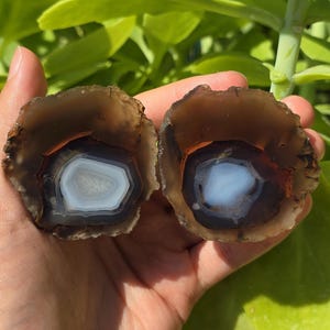 Blue Crystal Banded and Red Banded Agate, Quartz Crystal Banded Agate, Cut and Polished Turkish Agate Pair, Raw and Rough Mineral Specimen.