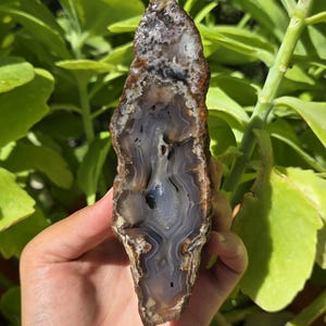 Blue Crystal Banded and Flower Agate, Quartz Crystal Banded Agate, Cut and Polished Turkish Agate Pair, Raw and Rough Mineral Specimen.