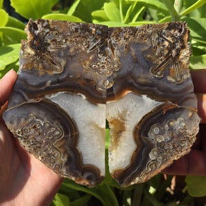 Blue Crystal Banded and Flower Agate, Quartz Crystal Banded Agate, Cut and Polished Turkish Agate Pair, Raw and Rough Mineral Specimen
