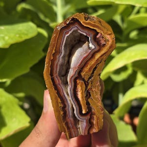 Yellow and Red Banded and Mini Geode Agate, Cut and Polished Turkish Agate, Turkey Geode Rock, Raw and Rough Mineral Specimen.