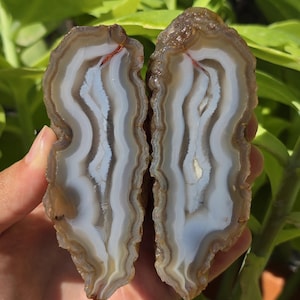 Blue Crystal Banded Agate Pair, Quartz Crystal Banded Agate, Cut and Polished Turkish Agate, Raw and Rough Mineral Specimen