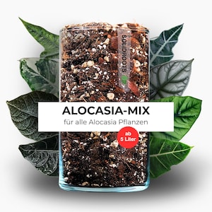Könnte beinhalten: Ein Glasbehälter gefüllt mit Erdmischung, beschriftet mit "ALOCASIA-MIX" für Alocasia-Pflanzen. Der Behälter ist von grünen Blättern umgeben. Das Etikett weist auch ein Mindestvolumen von 5 Litern aus.