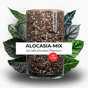 Terreau pour Alocasia | Mélange pour plantes tropicales d'intérieur | Renforce les racines et favorise une croissance saine | À partir de 1 L