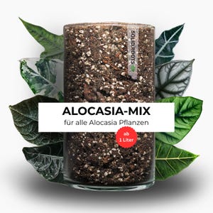 Könnte beinhalten: Ein durchsichtiger zylindrischer Behälter gefüllt mit dunkelbrauner Blumenerde und weißem Perlit. Ein weißes Etikett trägt den Text ALOCASIA-MIX, für alle Alocasia Pflanzen, sowie ein rotes kreisförmiges Abzeichen mit der Aufschrift ab 1 Liter. Grüne Blätter umgeben den Behälter.