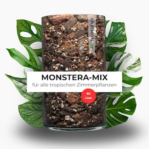 Peut inclure: Un récipient cylindrique transparent rempli d'un mélange de terreau brun contenant des copeaux de bois et de la perlite. Une étiquette blanche porte le texte SOLID.ROOTS, MONSTERA-MIX, für alle tropischen Zimmerpflanzen et 60 Liter.